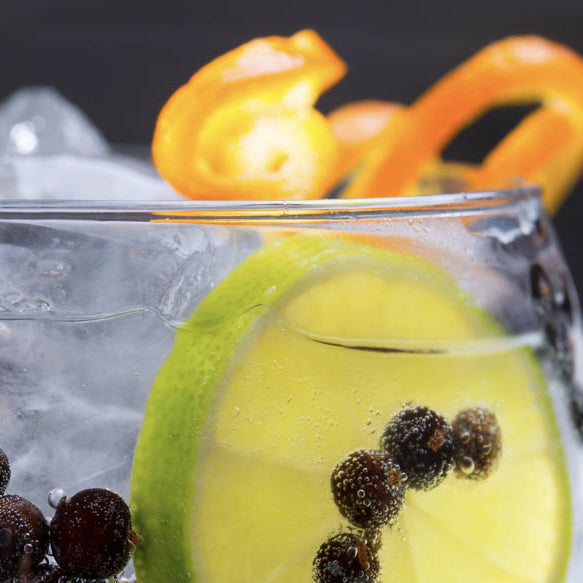 Juniper & Lime Leaf Gin & Tonic