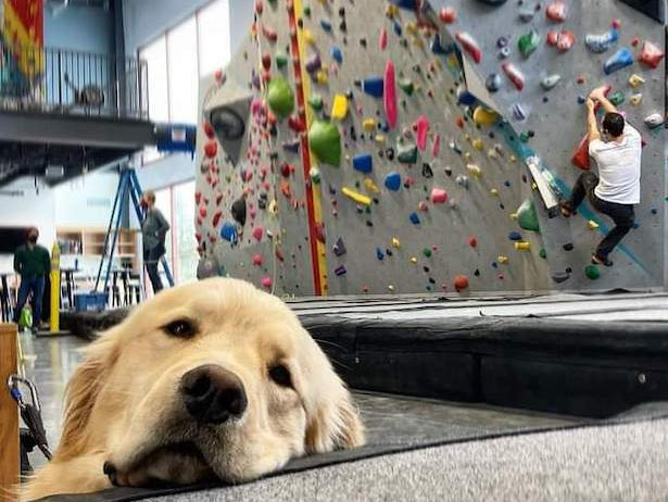 Brad's Favorite Portland Activities