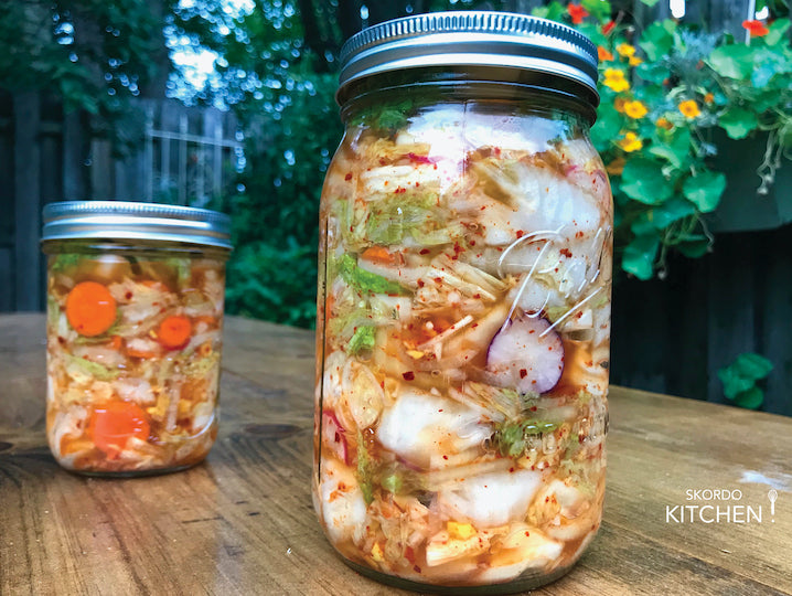 Fermentation and Gut Health