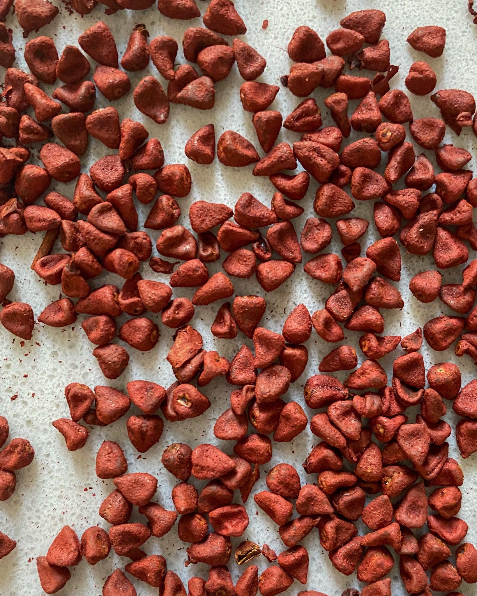 Achiote Seeds-Ingredients-Fair Winds Flavor-SKORDO