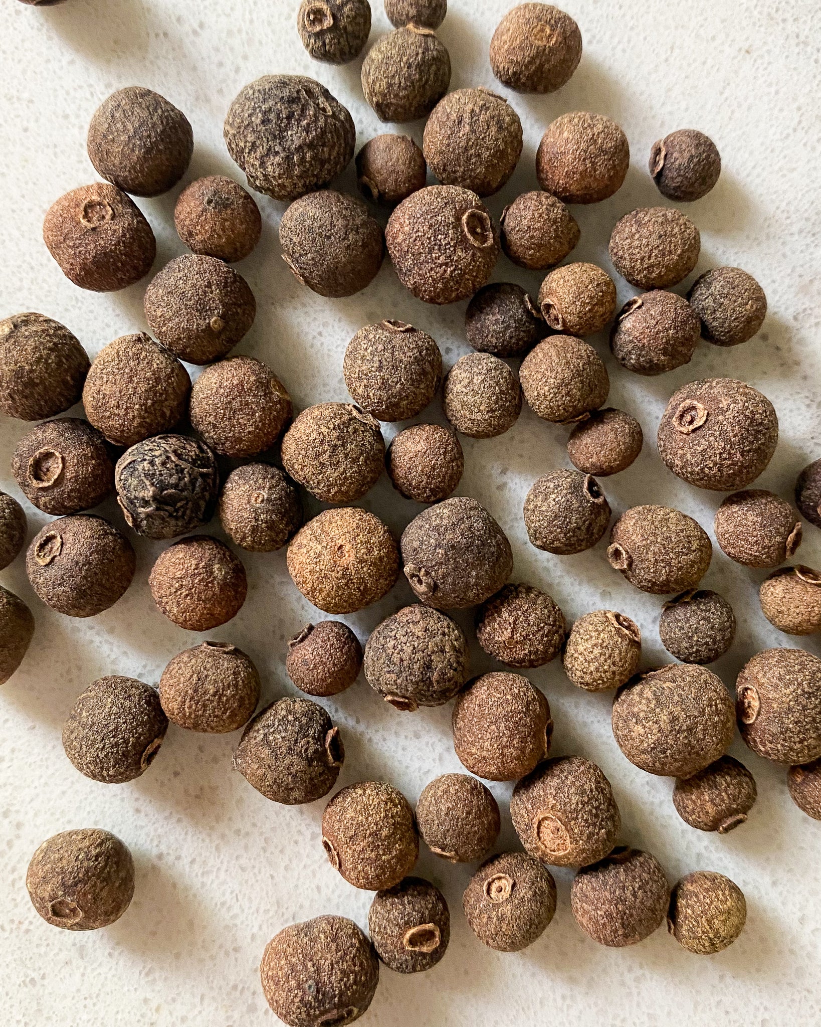 Allspice Berries-Ingredients-Fair Winds Flavor-SKORDO
