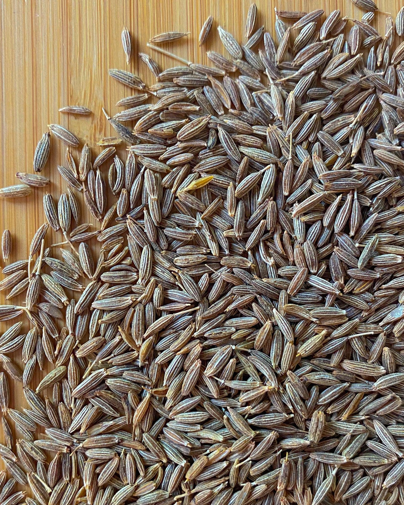 Cumin Seeds-Ingredients-Fair Winds Flavor-SKORDO