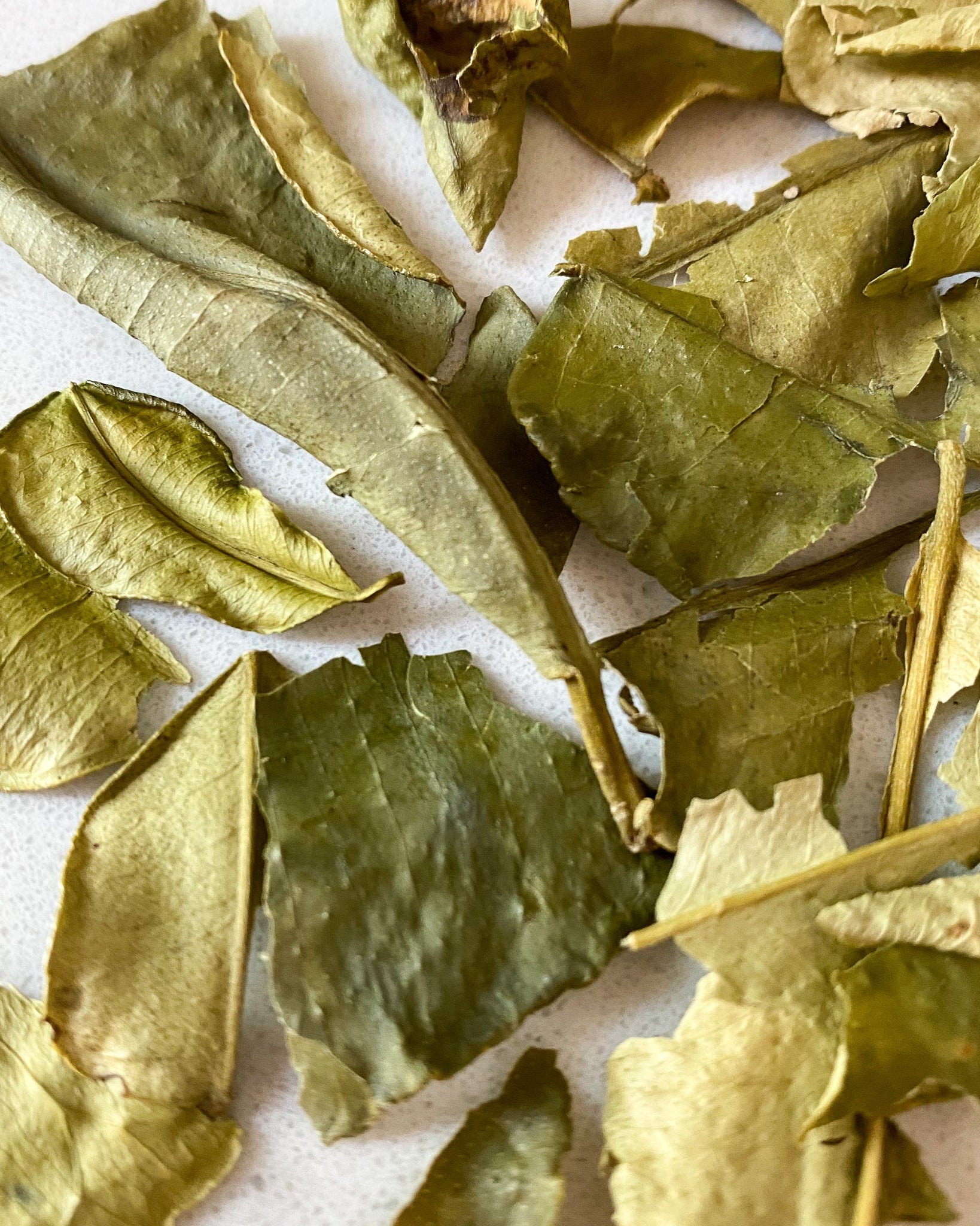 Makrut Lime Leaves-Ingredients-Fair Winds Flavor-SKORDO