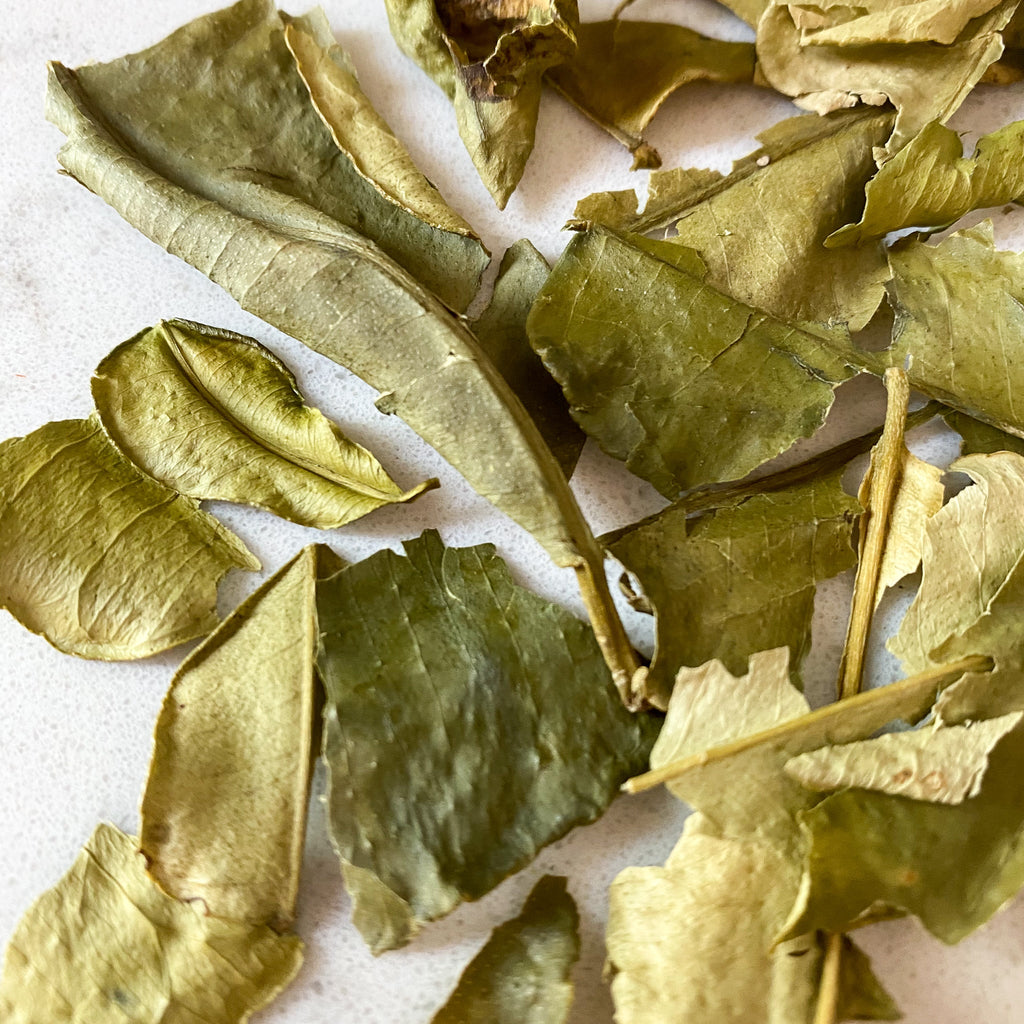 Makrut Lime Leaves-Ingredients-Fair Winds Flavor-SKORDO