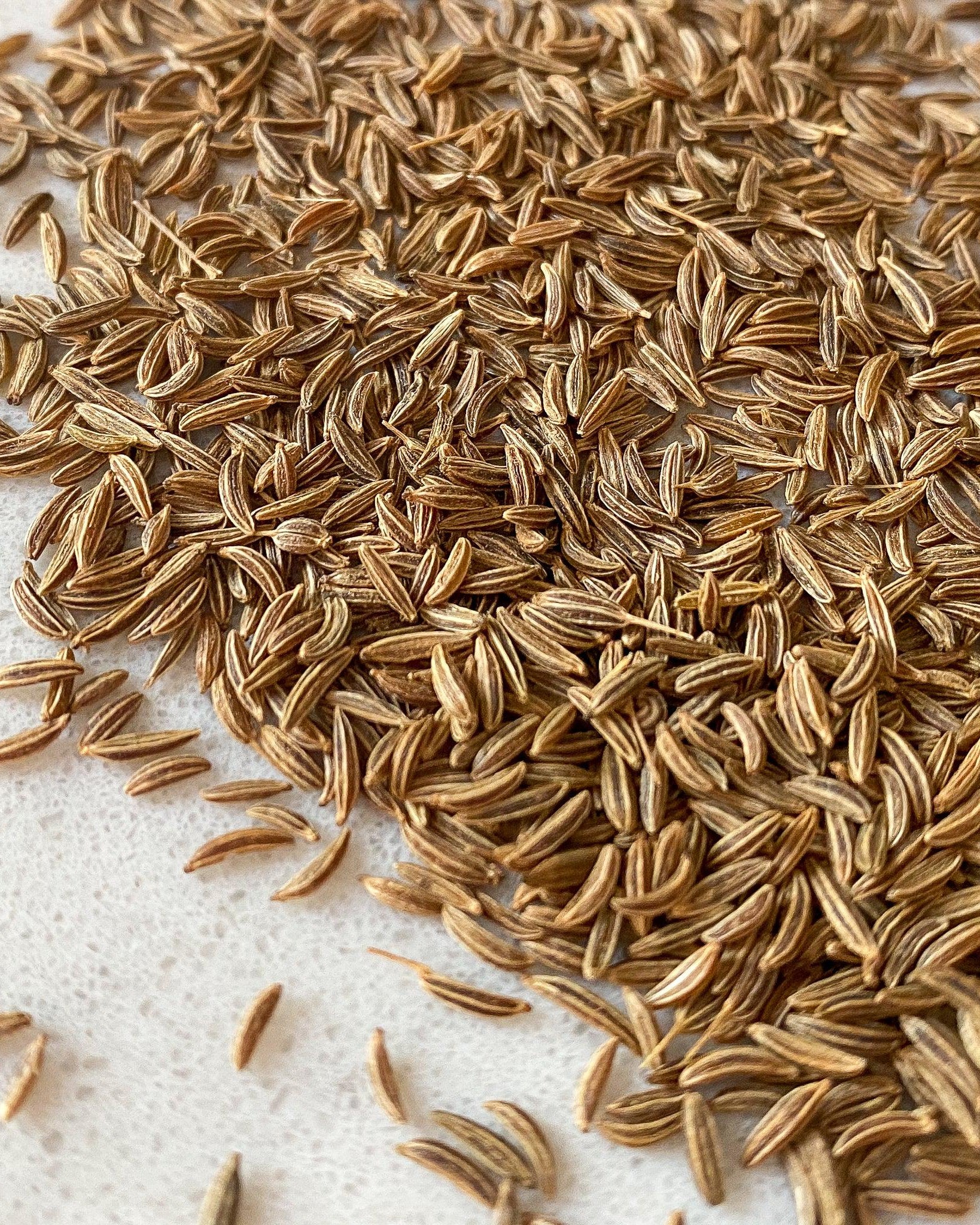 Caraway Seeds-Ingredients-Fair Winds Flavor-SKORDO