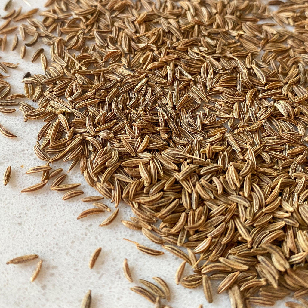 Caraway Seeds-Ingredients-Fair Winds Flavor-SKORDO