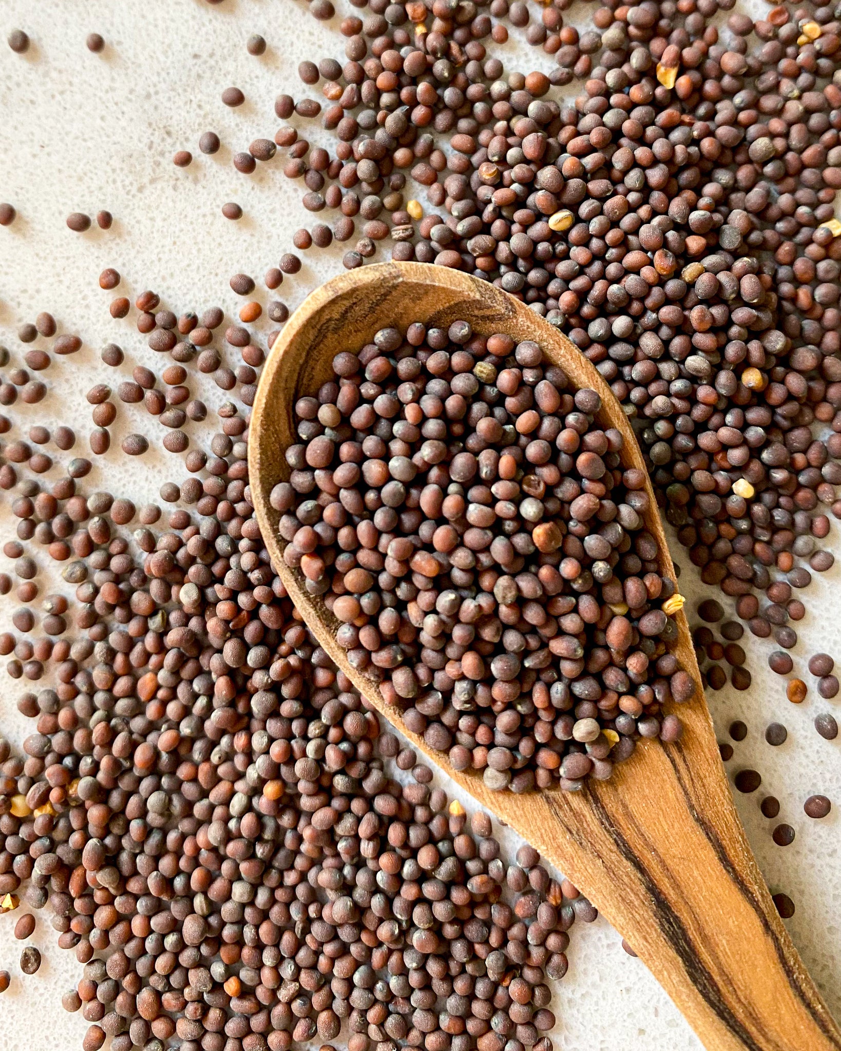 Mustard Seeds - Brown-Ingredients-Fair Winds Flavor-SKORDO