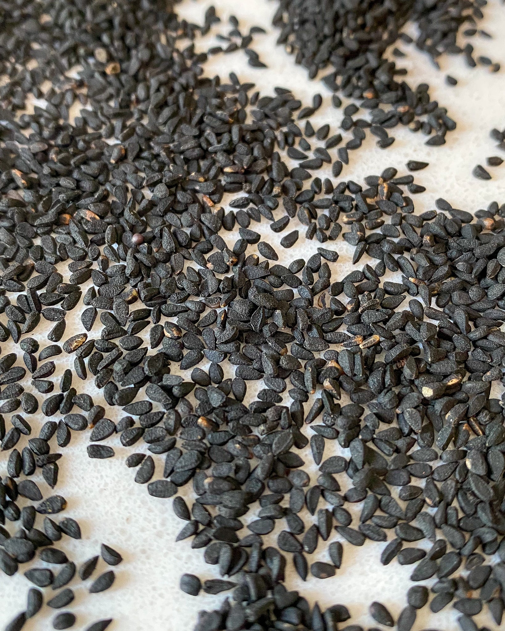 Nigella Seeds-Ingredients-Fair Winds Flavor-SKORDO