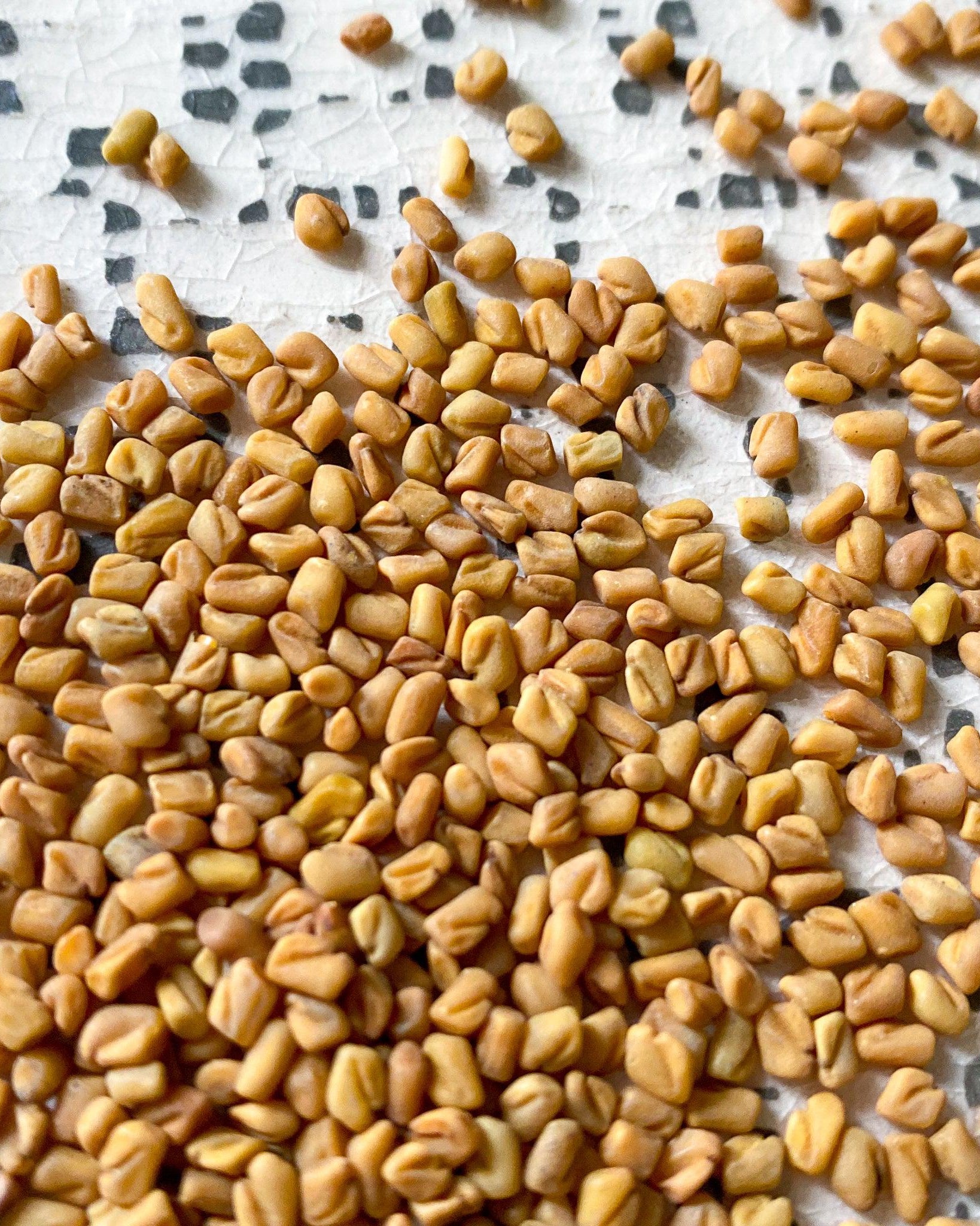 Fenugreek Seeds-Ingredients-Fair Winds Flavor-SKORDO