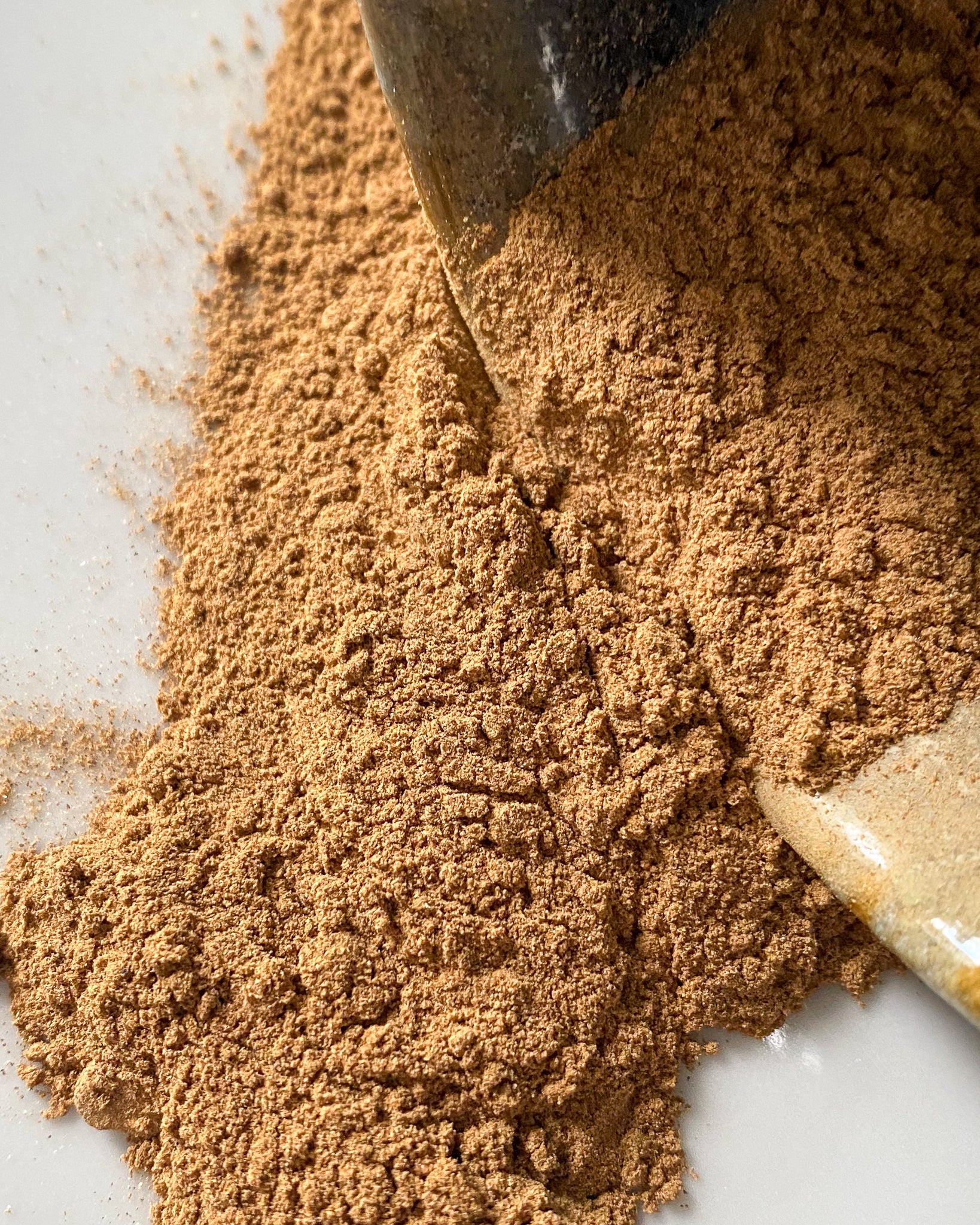 Porcini Powder-Ingredients-Fair Winds Flavor-SKORDO