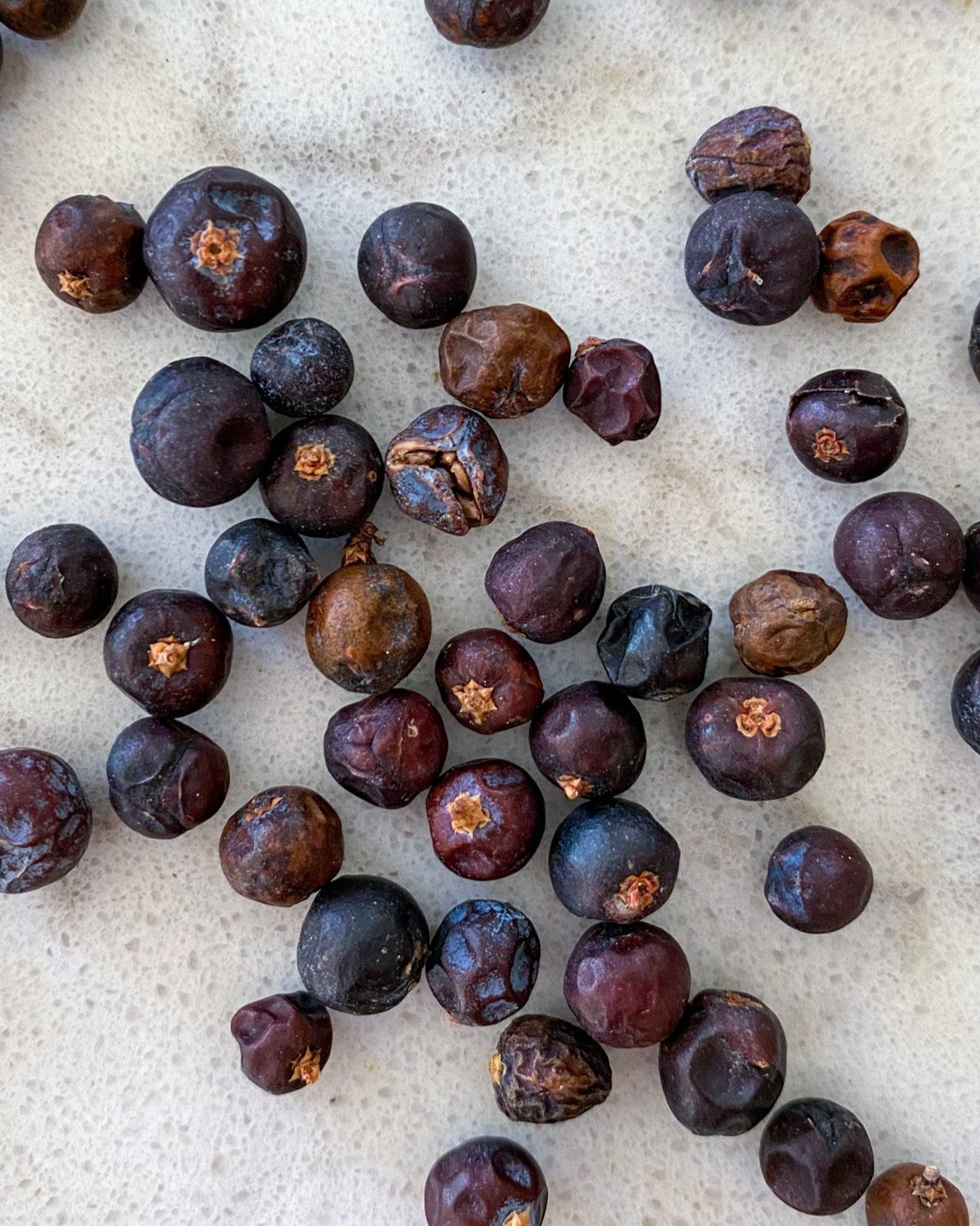 Juniper Berries-Ingredients-Fair Winds Flavor-SKORDO