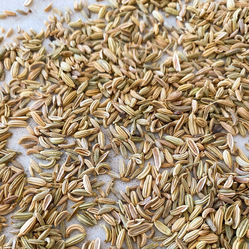 Anise Seeds-Ingredients-Fair Winds Flavor-SKORDO