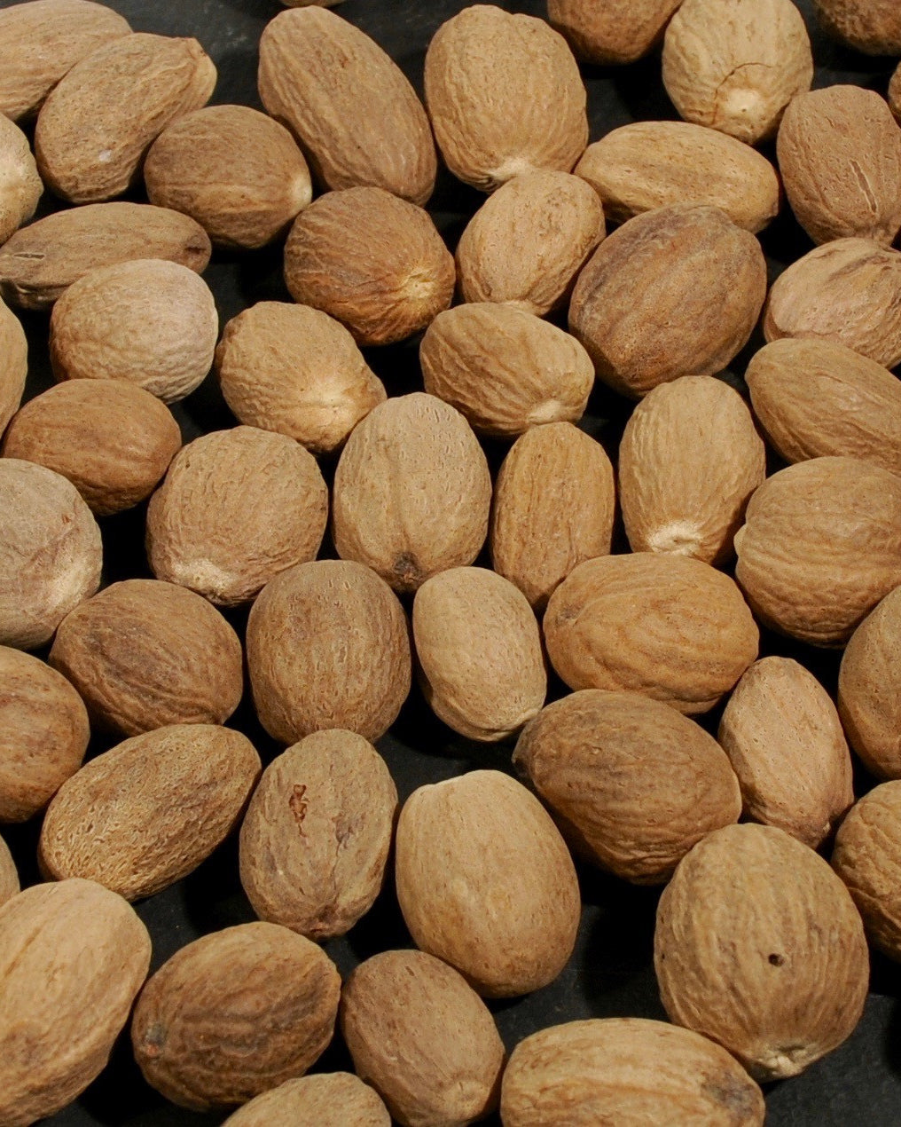 Nutmeg-Ingredients-Fair Winds Flavor-SKORDO