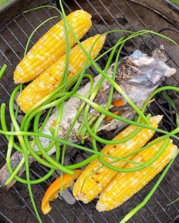 Lemon Herb Fish Seasoning-Ingredients-Fair Winds Flavor-SKORDO