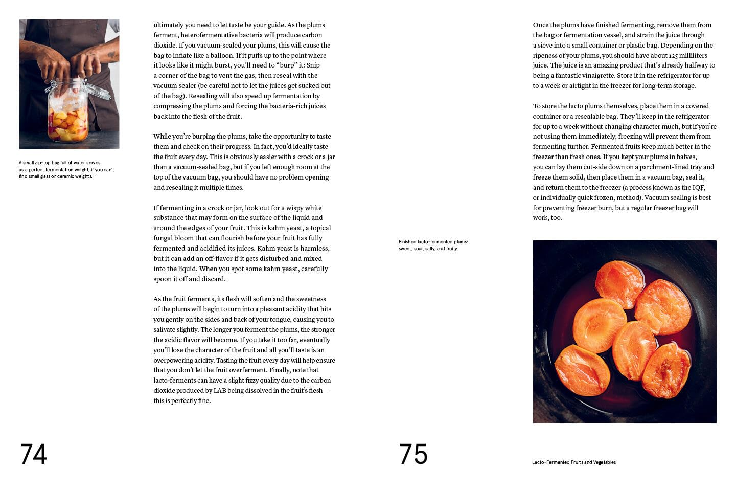 The Noma Guide to Fermentation – SKORDO