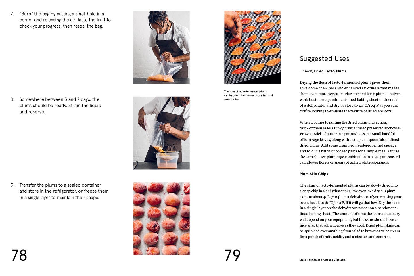 The Noma Guide to Fermentation – SKORDO