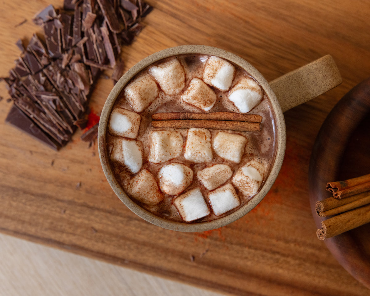 Mexican Hot Cocoa Recipe Kit – SKORDO