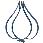 SKORDO logo
