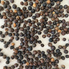 Lampong Peppercorns-Ingredients-Fair Winds Flavor-SKORDO