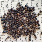 Tellicherry Peppercorns-Ingredients-Fair Winds Flavor-SKORDO