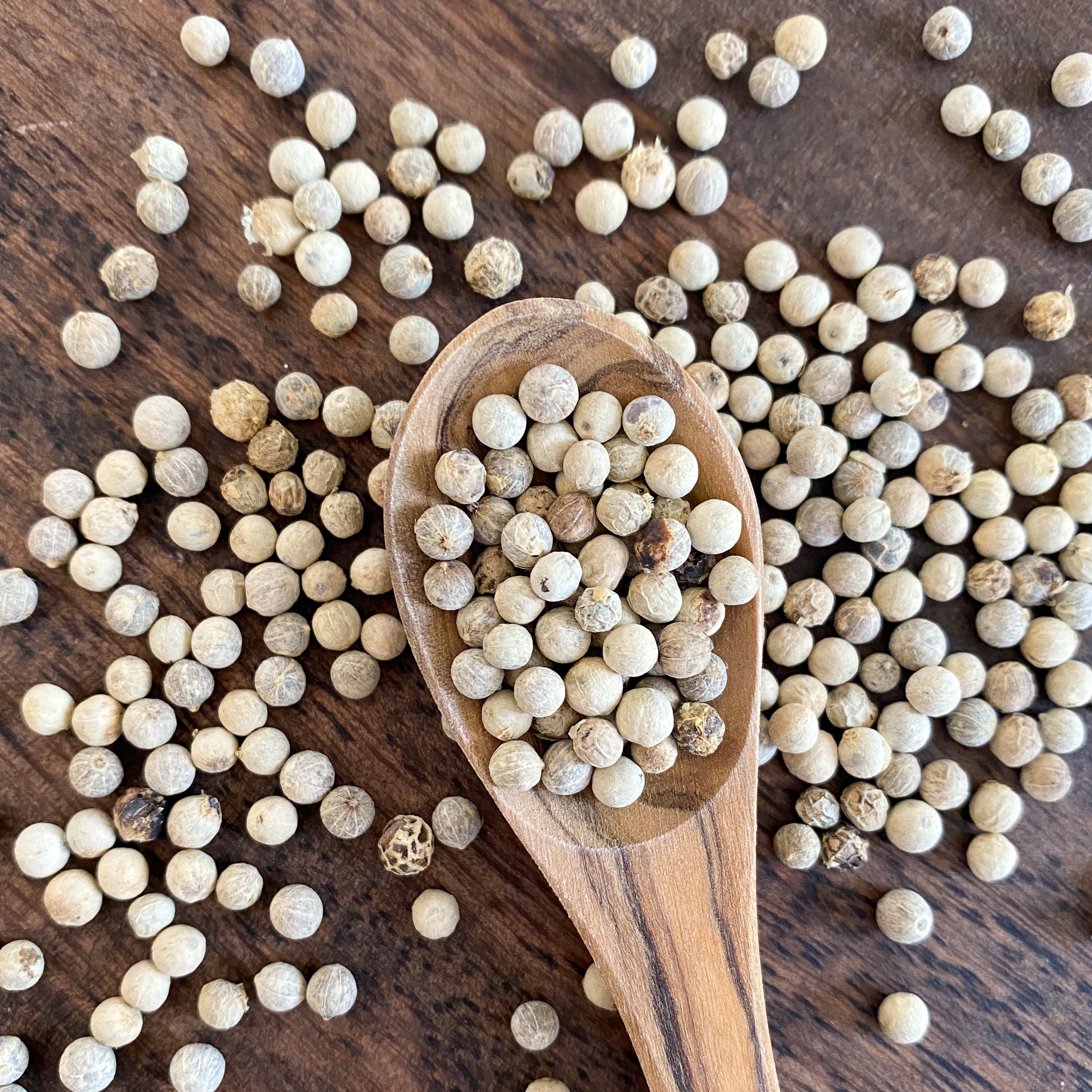 White Peppercorns-Ingredients-Fair Winds Flavor-SKORDO