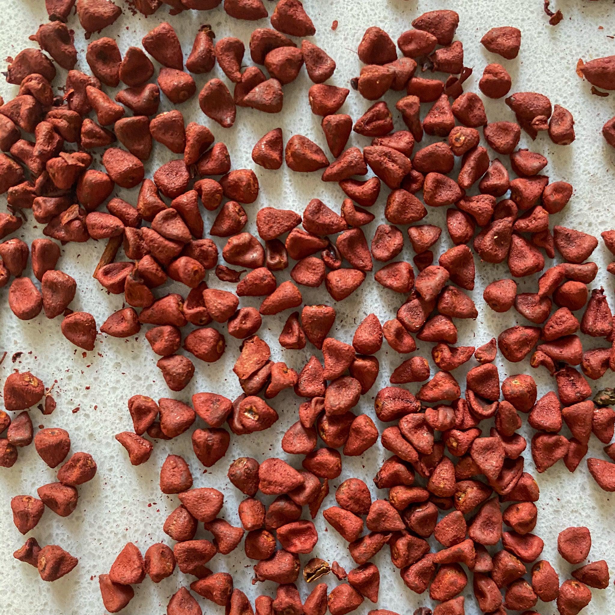 Achiote Seeds-Ingredients-Fair Winds Flavor-SKORDO