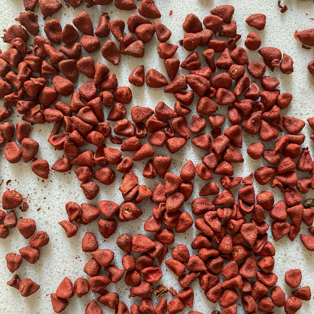 Achiote Seeds-Ingredients-Fair Winds Flavor-SKORDO
