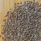 Cumin Seeds-Ingredients-Fair Winds Flavor-SKORDO