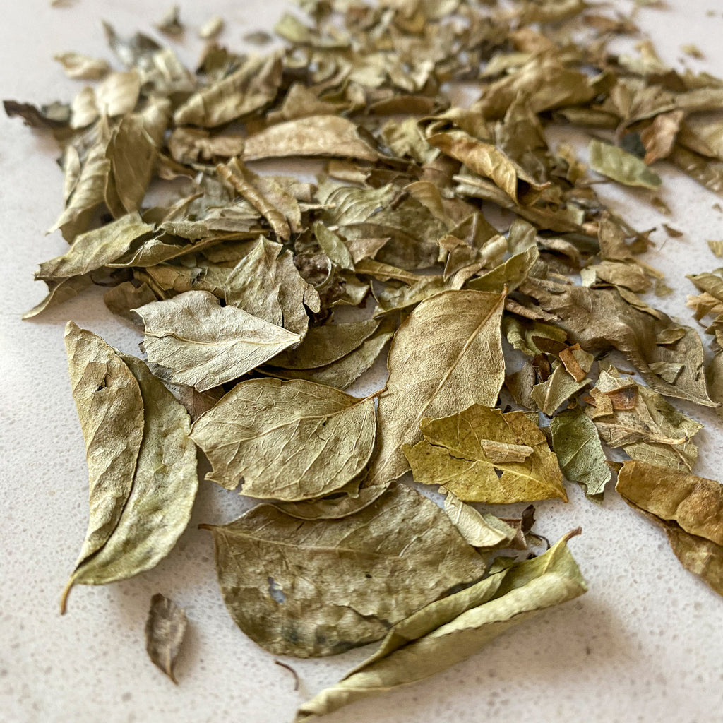 Curry Leaves-Ingredients-Fair Winds Flavor-SKORDO