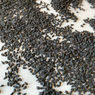 Nigella Seeds-Ingredients-Fair Winds Flavor-SKORDO