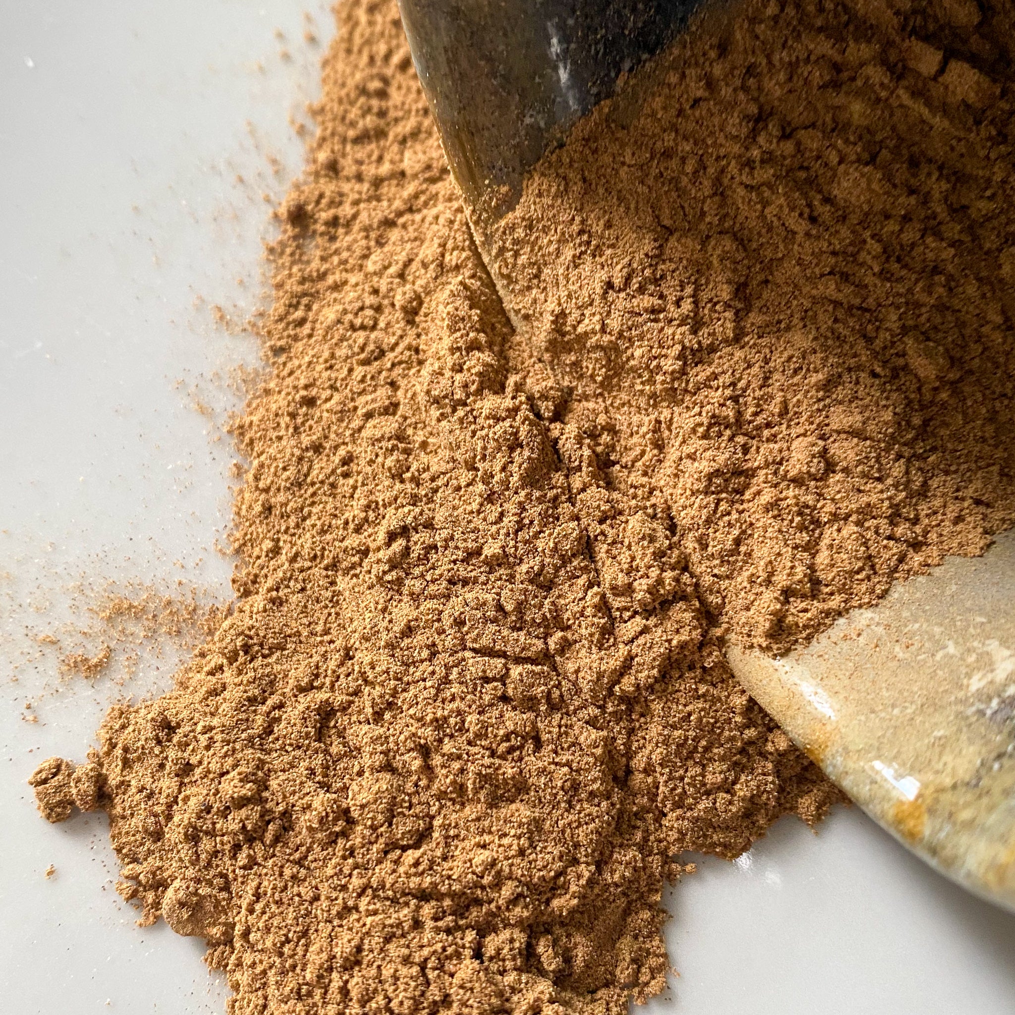 Porcini Mushroom Powder | Whole Spice 2 oz Jar