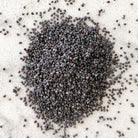 Poppy Seeds-Ingredients-Fair Winds Flavor-SKORDO