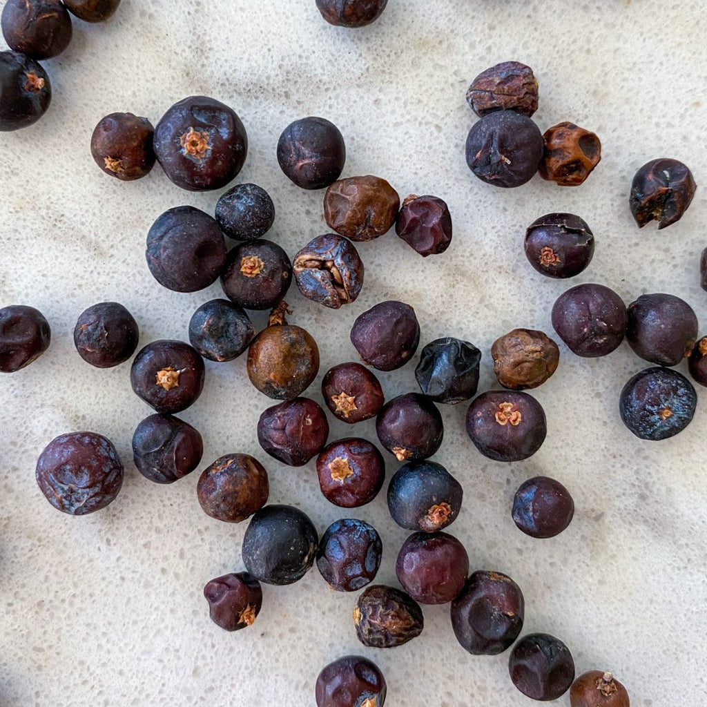 Juniper Berries-Ingredients-Fair Winds Flavor-SKORDO