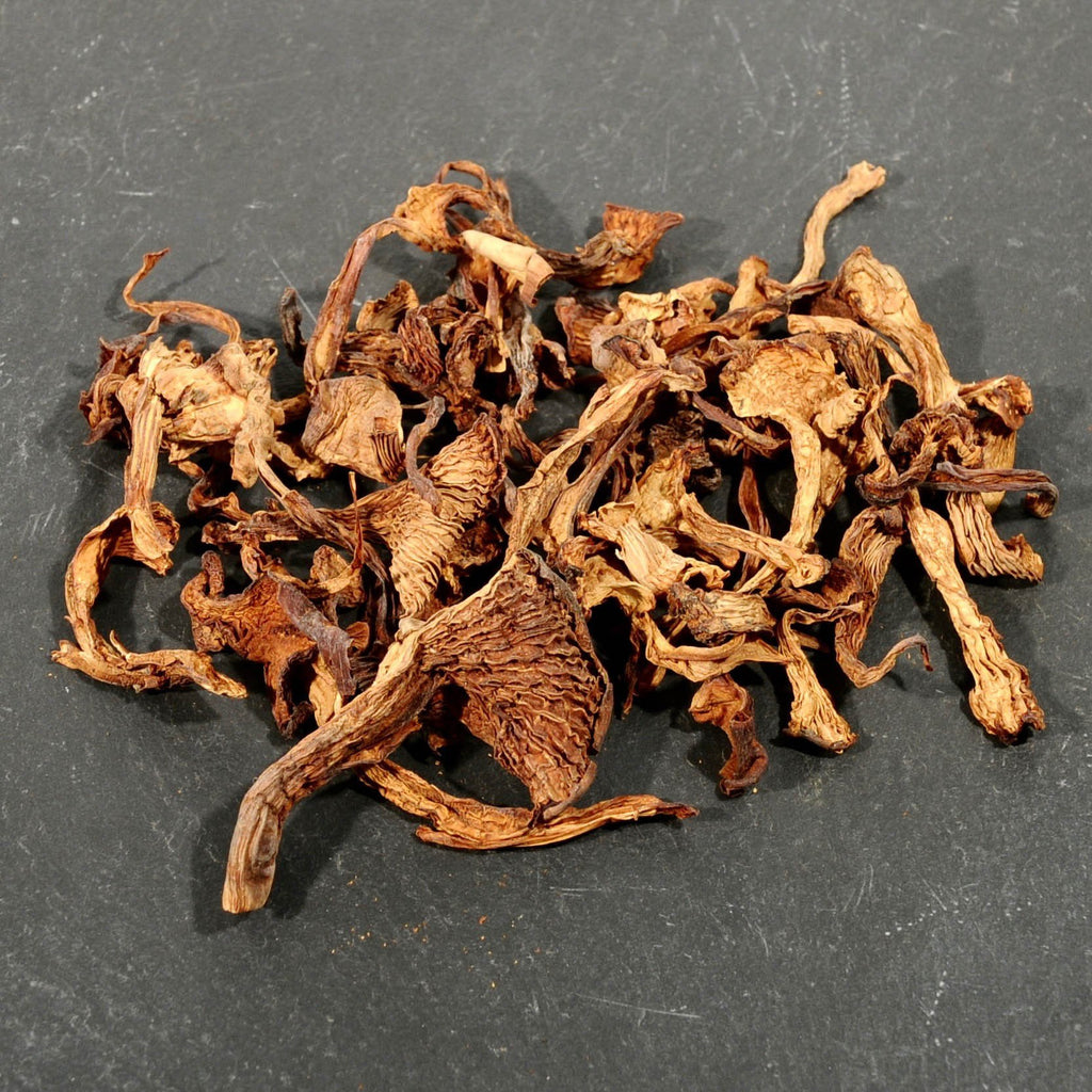 Chanterelle Mushrooms - Dried-Ingredients-Fair Winds Flavor-SKORDO