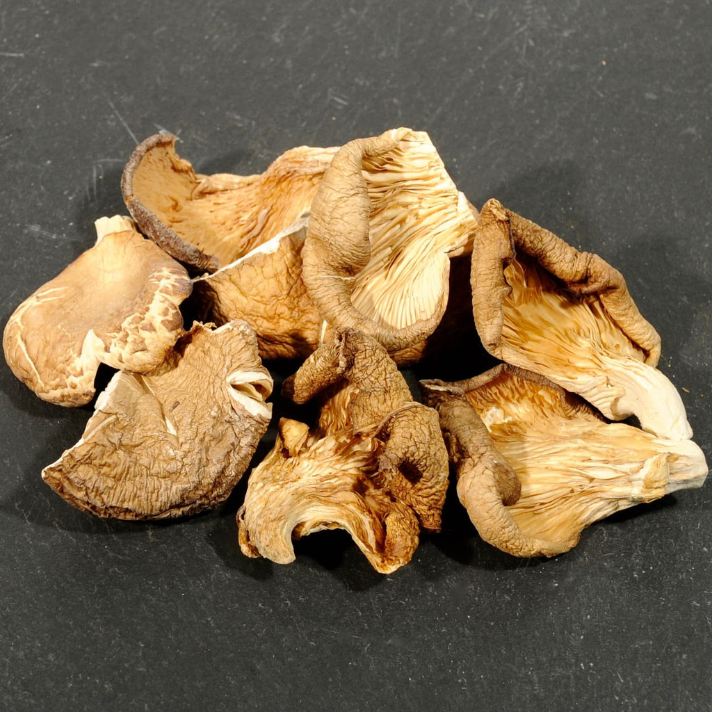 Oyster Mushrooms - Dried-Ingredients-Fair Winds Flavor-SKORDO